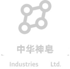 你的段落文字 (1)